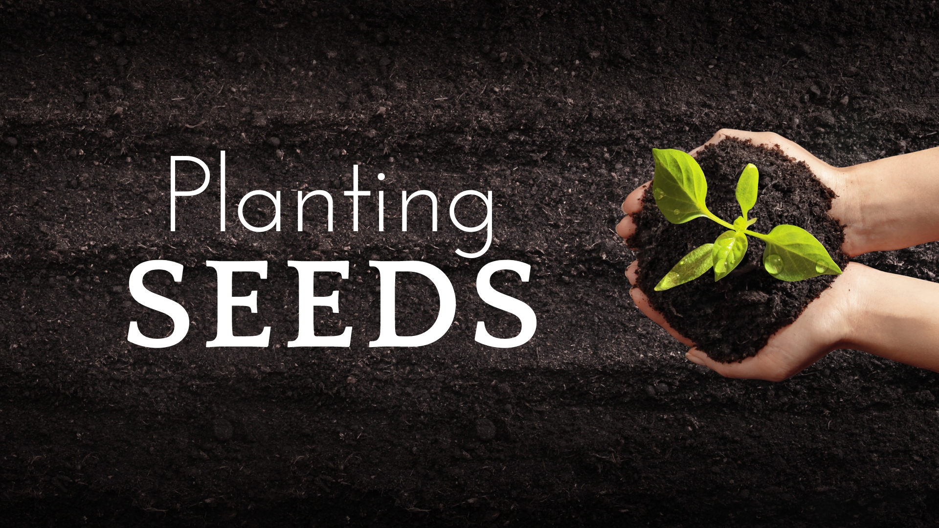 Planting Seeds March 24 2024 PM Sermon North Charleston Church Of